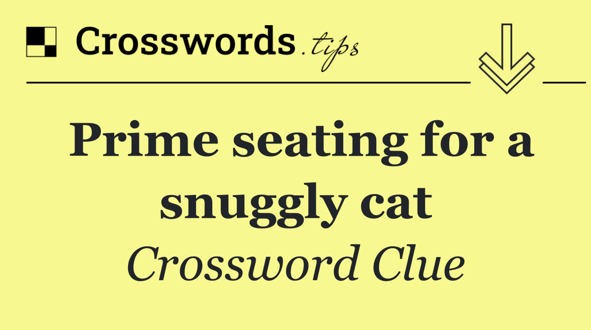 Prime seating for a snuggly cat