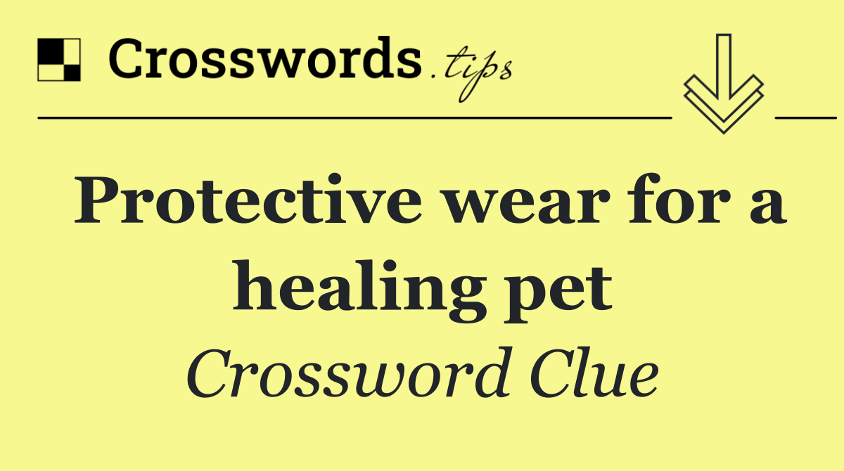Protective wear for a healing pet