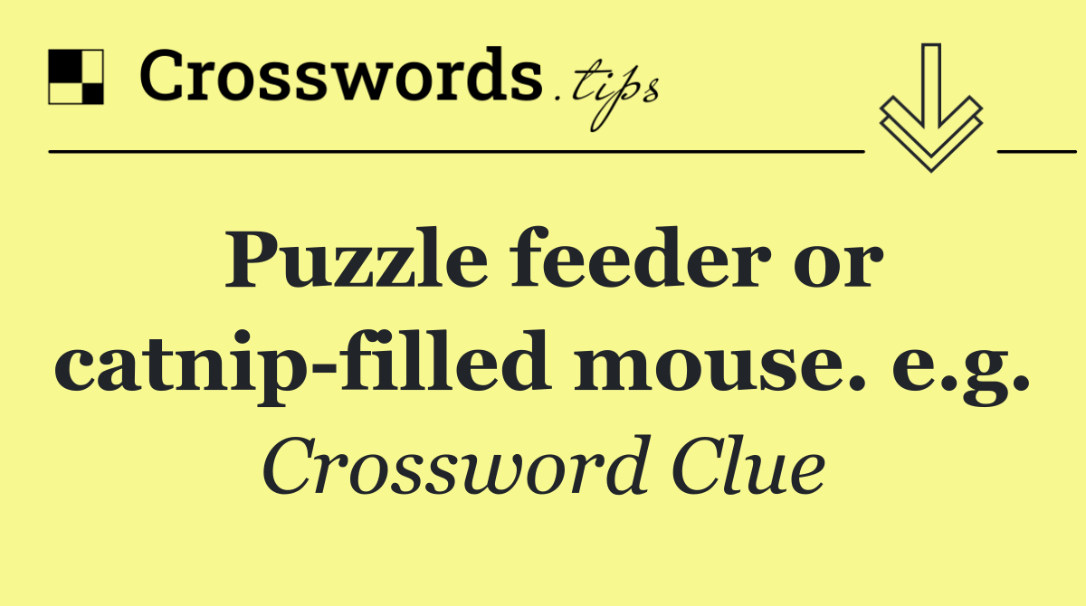 Puzzle feeder or catnip filled mouse. e.g.