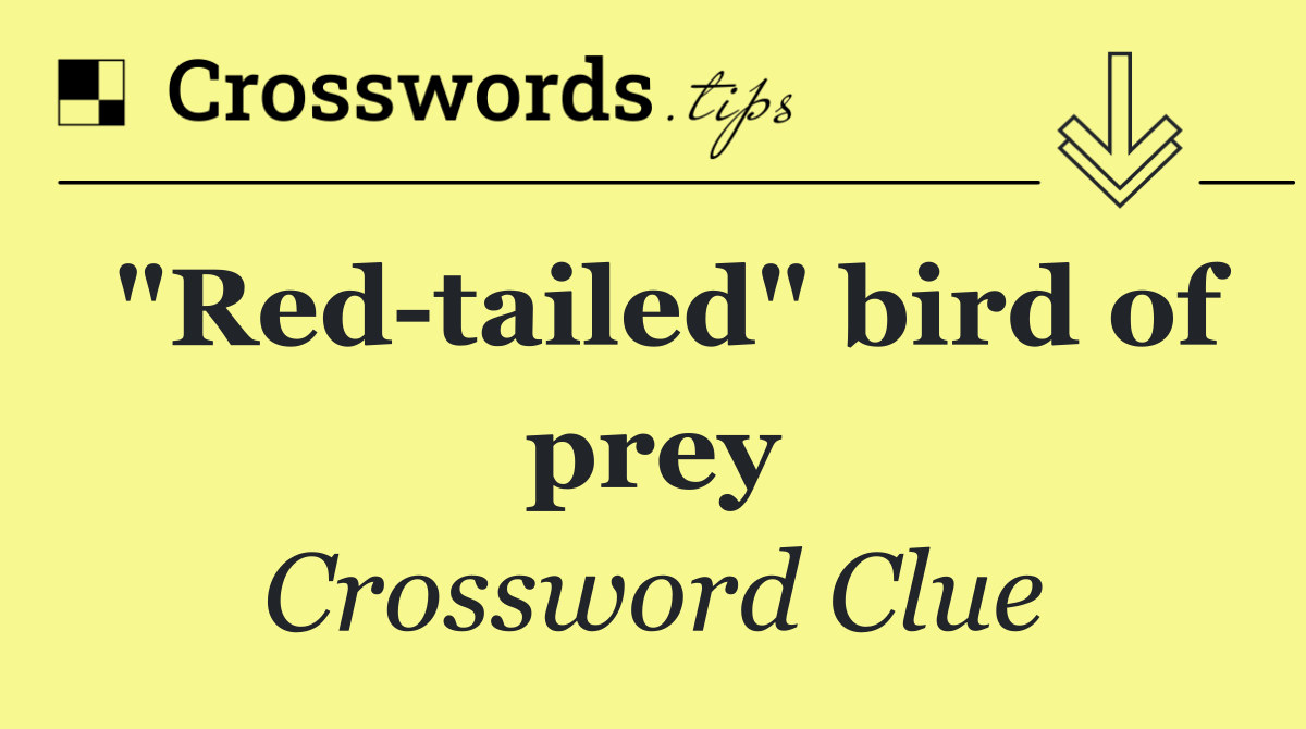 "Red tailed" bird of prey