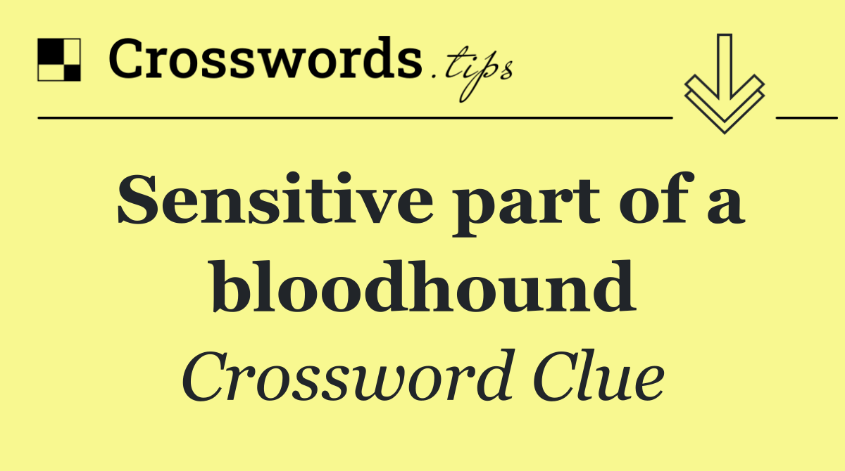 Sensitive part of a bloodhound