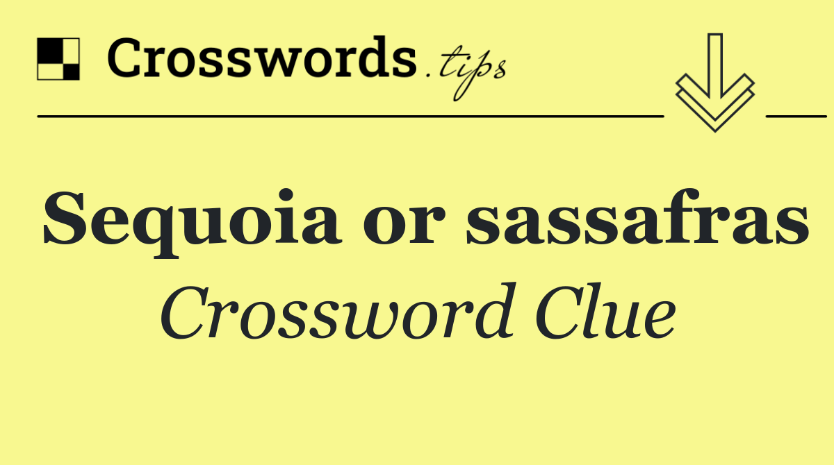 Sequoia or sassafras