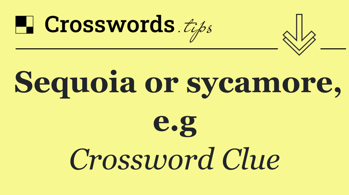 Sequoia or sycamore, e.g