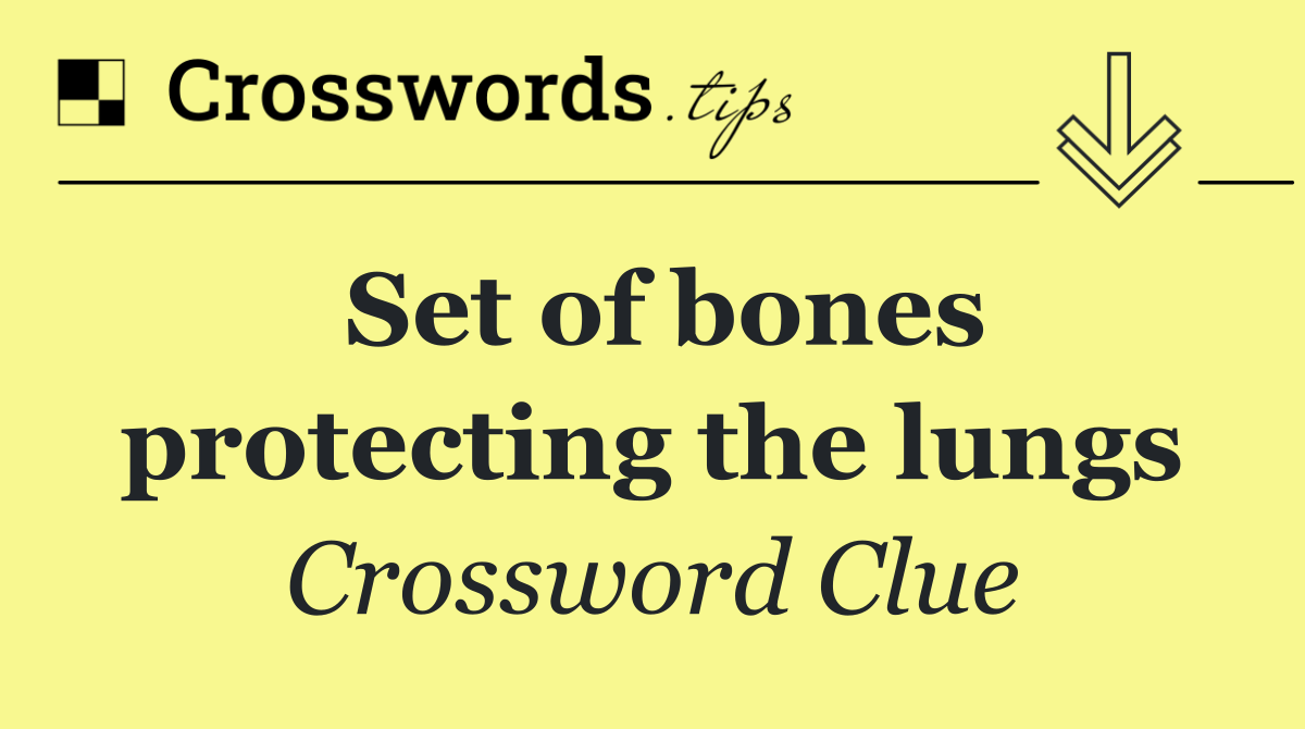 Set of bones protecting the lungs