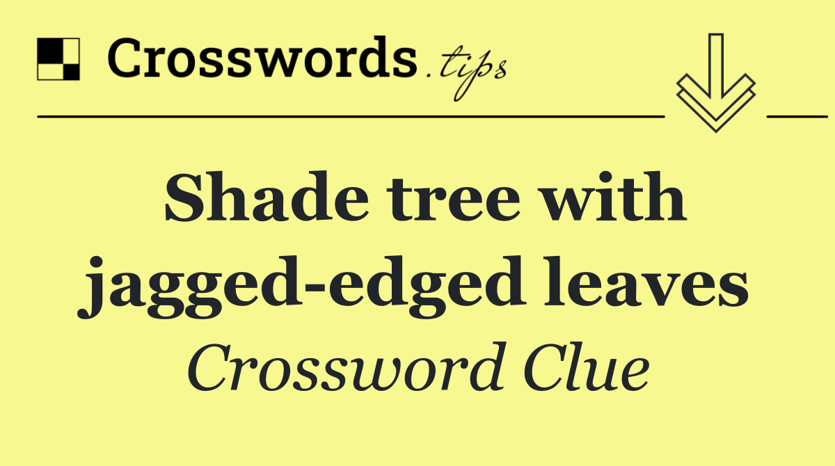 Shade tree with jagged edged leaves