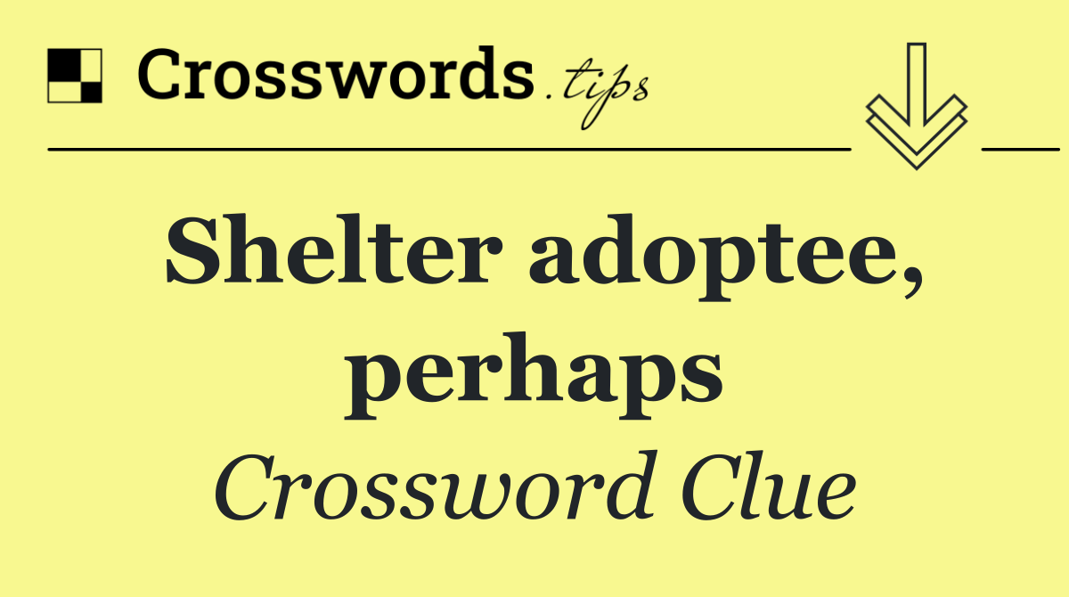 Shelter adoptee, perhaps