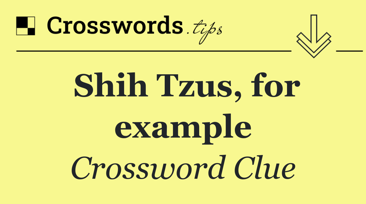 Shih Tzus, for example