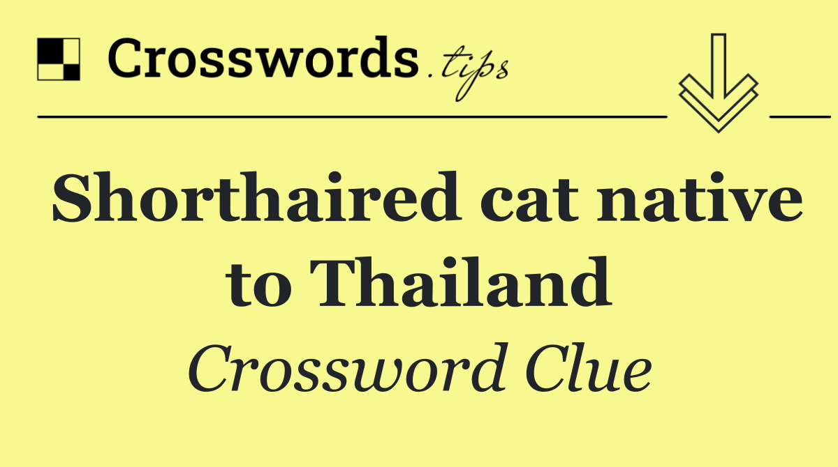 Shorthaired cat native to Thailand
