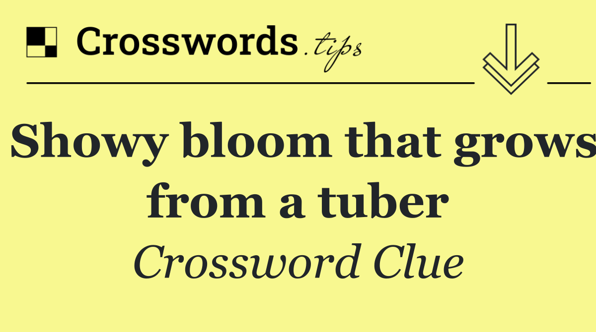 Showy bloom that grows from a tuber