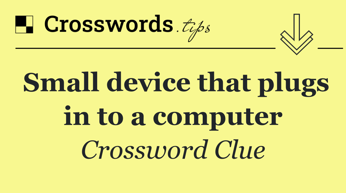 Small device that plugs in to a computer