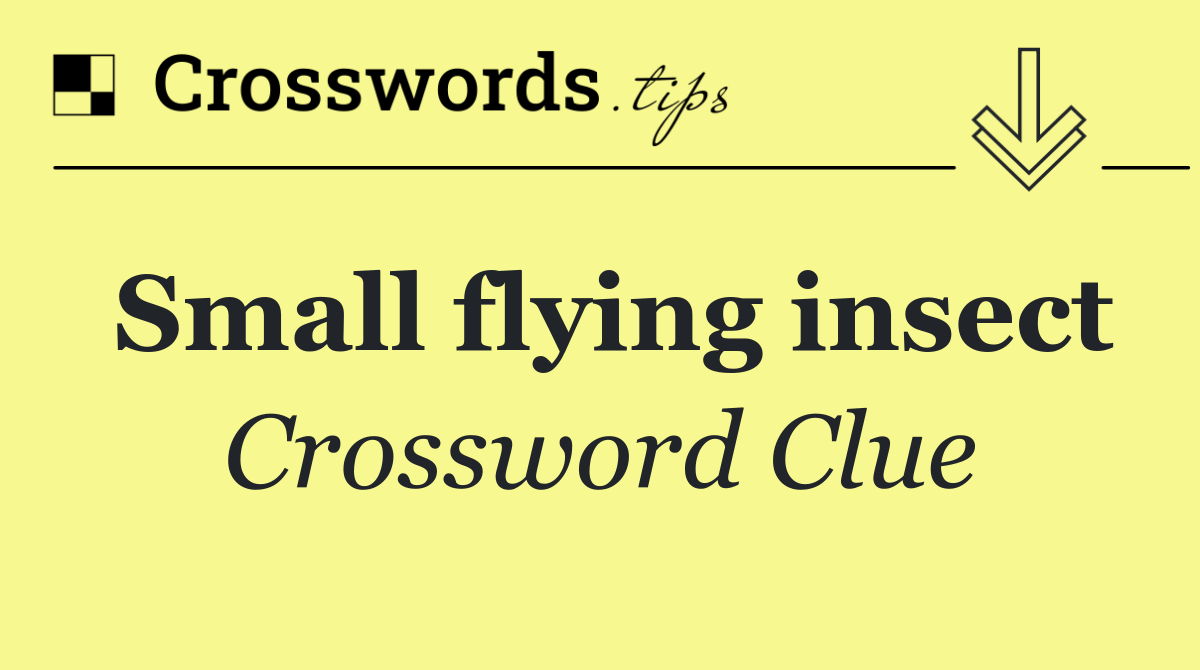 Small flying insect