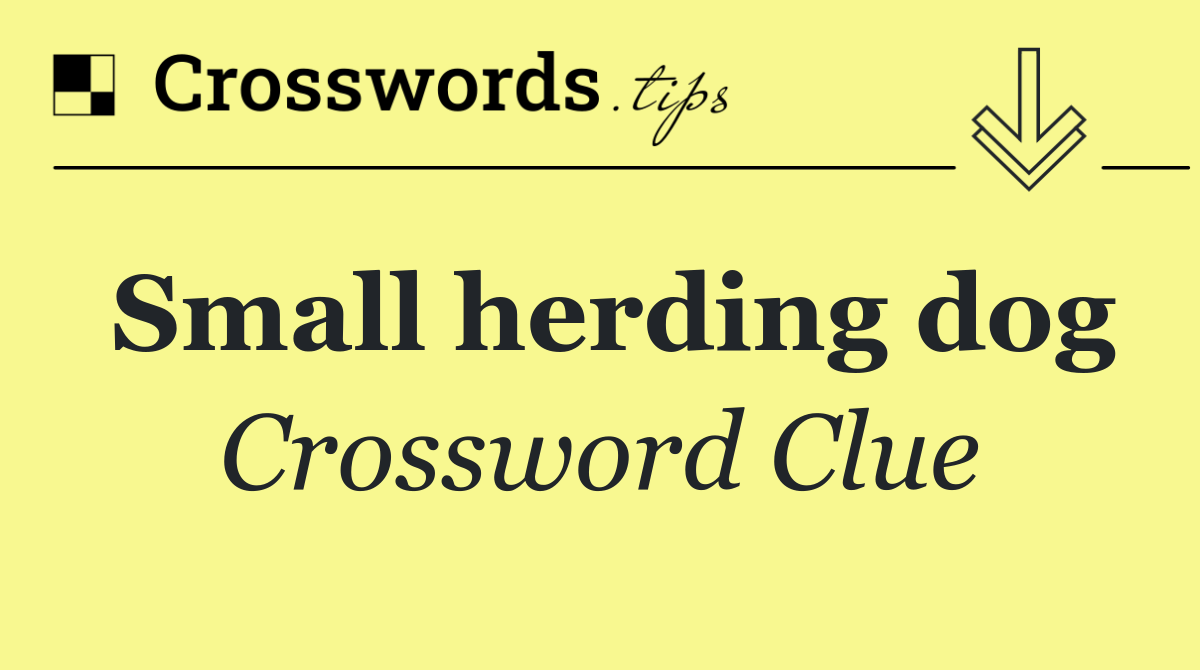 Small herding dog