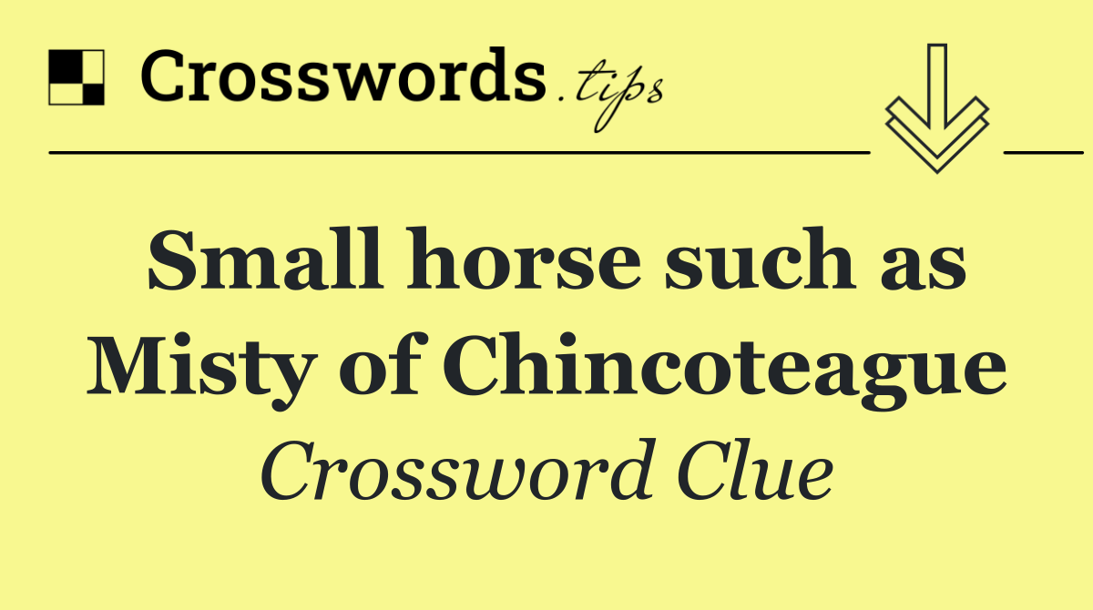 Small horse such as Misty of Chincoteague