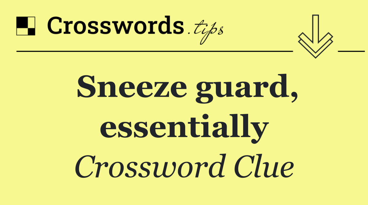 Sneeze guard, essentially