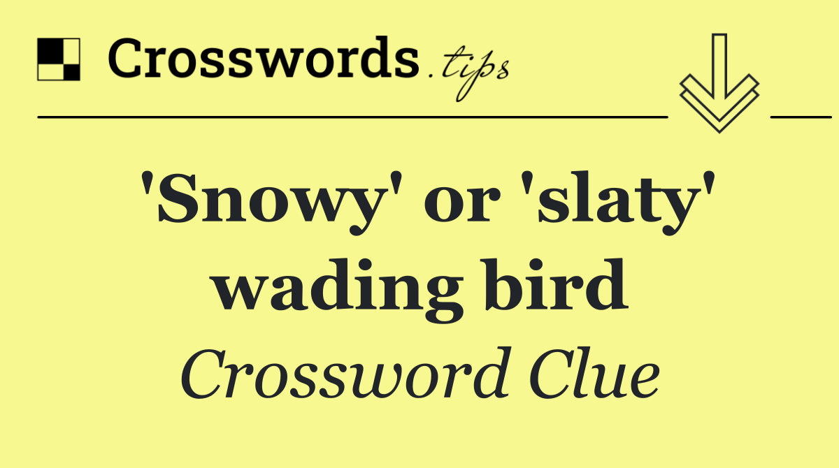 'Snowy' or 'slaty' wading bird