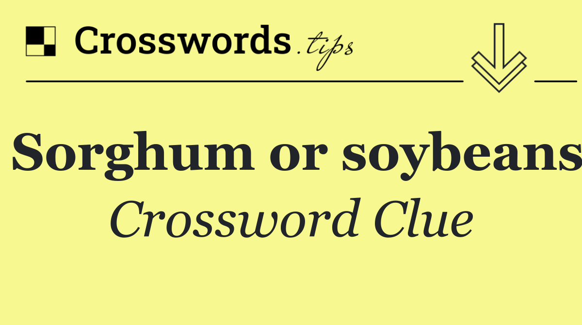 Sorghum or soybeans