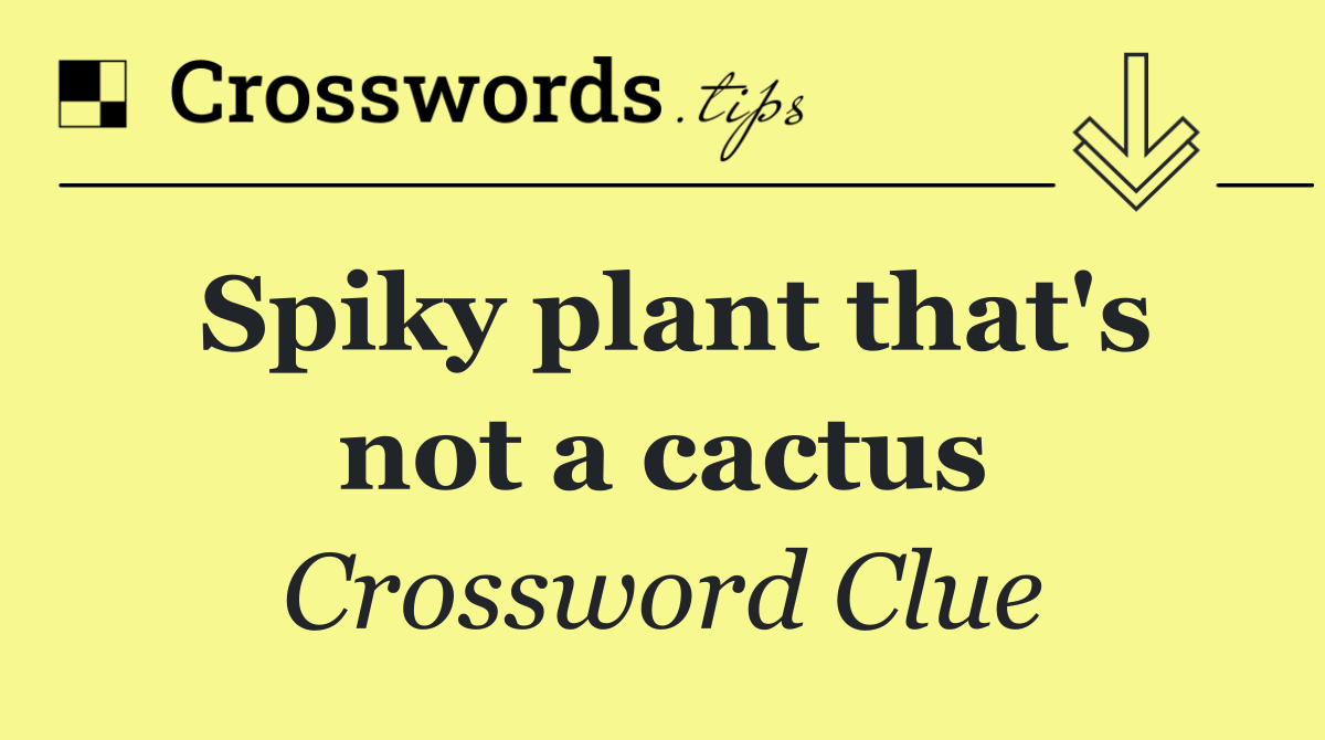 Spiky plant that's not a cactus