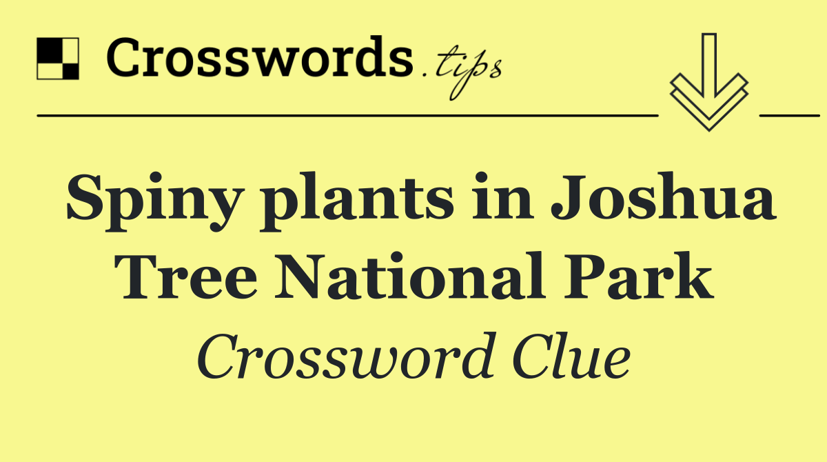 Spiny plants in Joshua Tree National Park