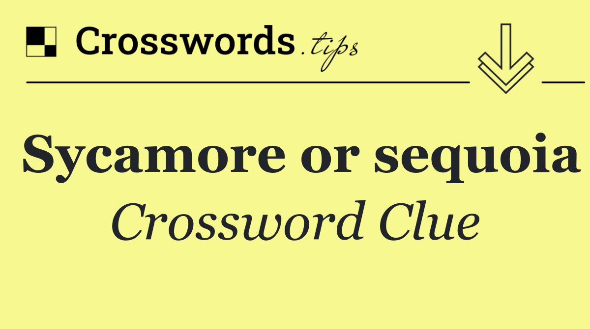 Sycamore or sequoia
