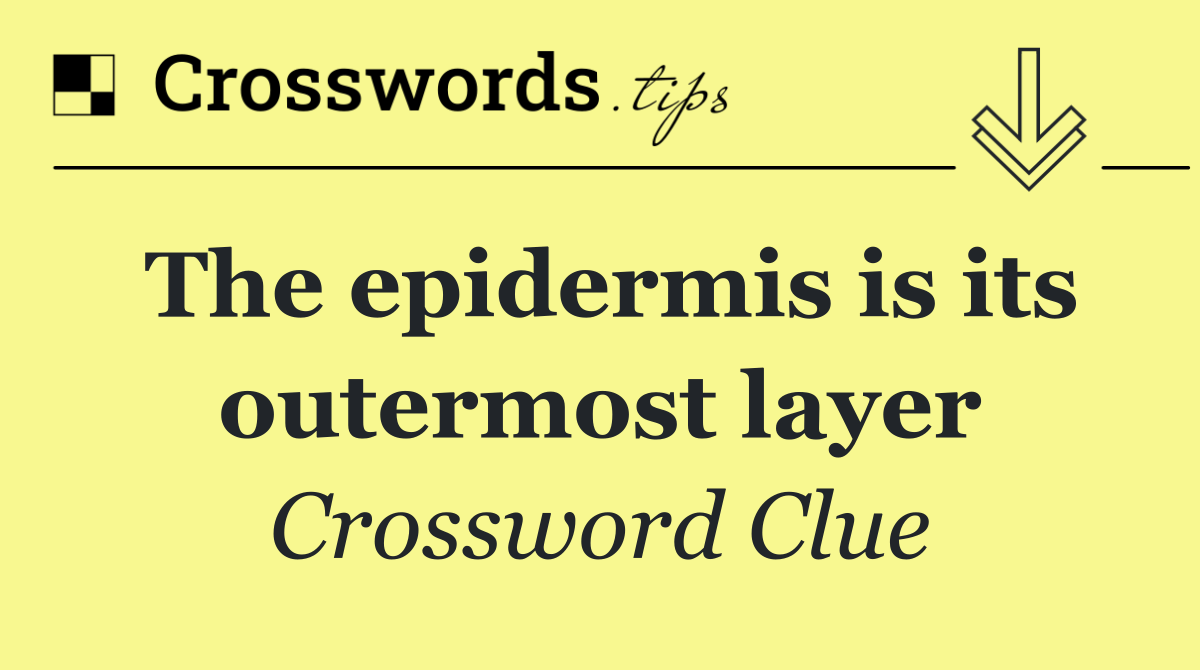 The epidermis is its outermost layer