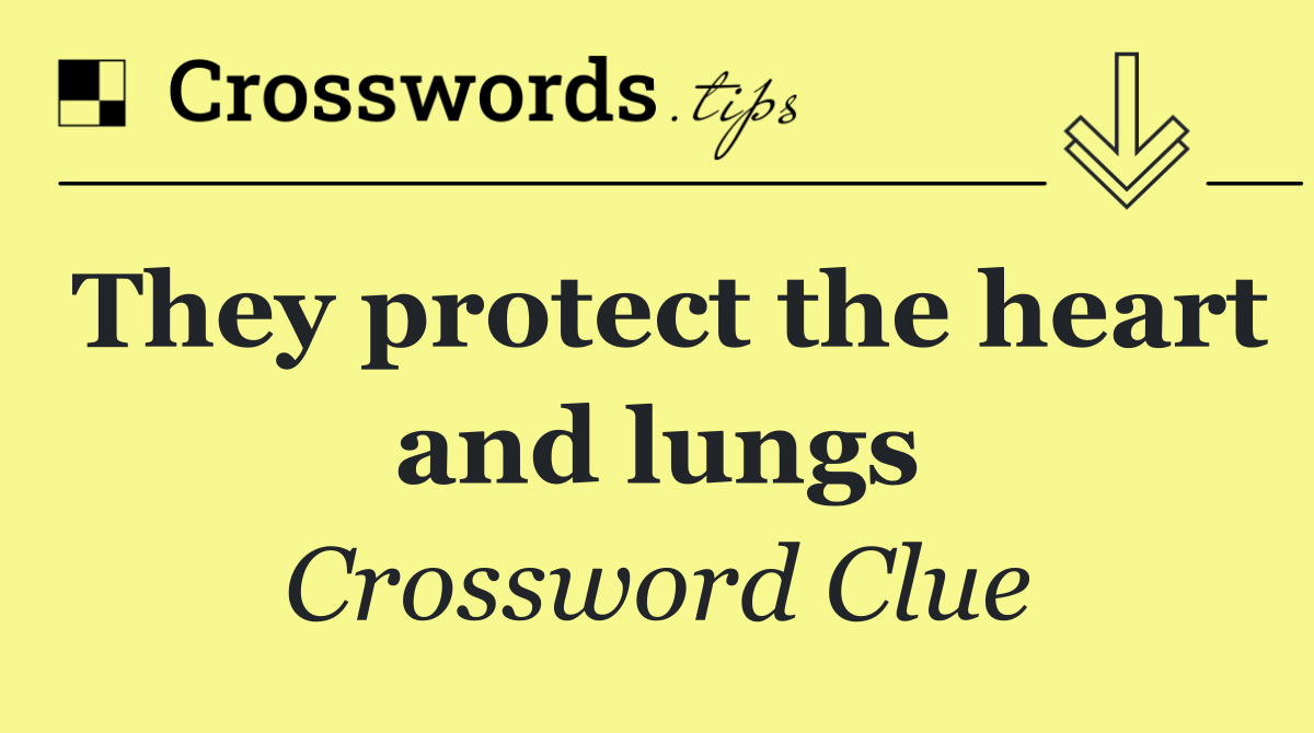 They protect the heart and lungs