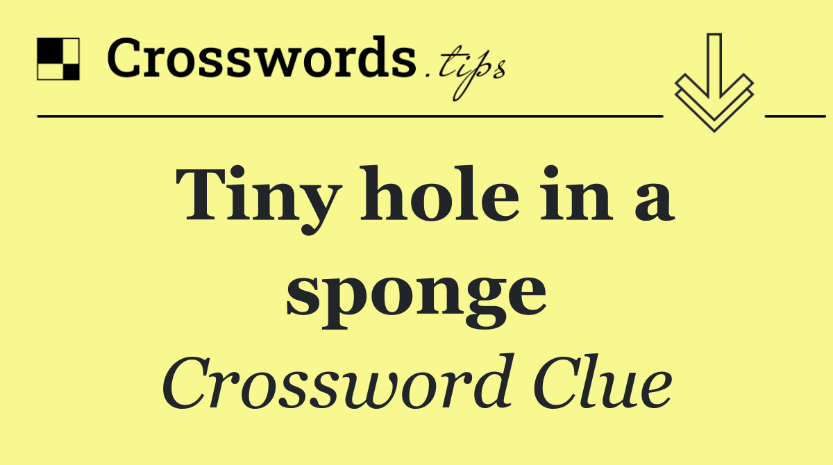 Tiny hole in a sponge