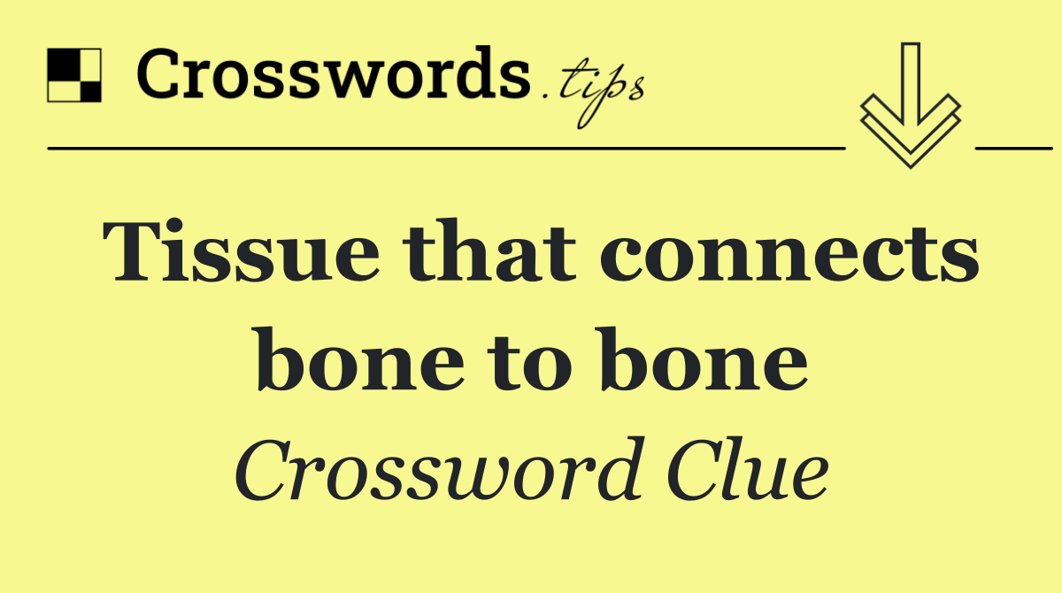 Tissue that connects bone to bone