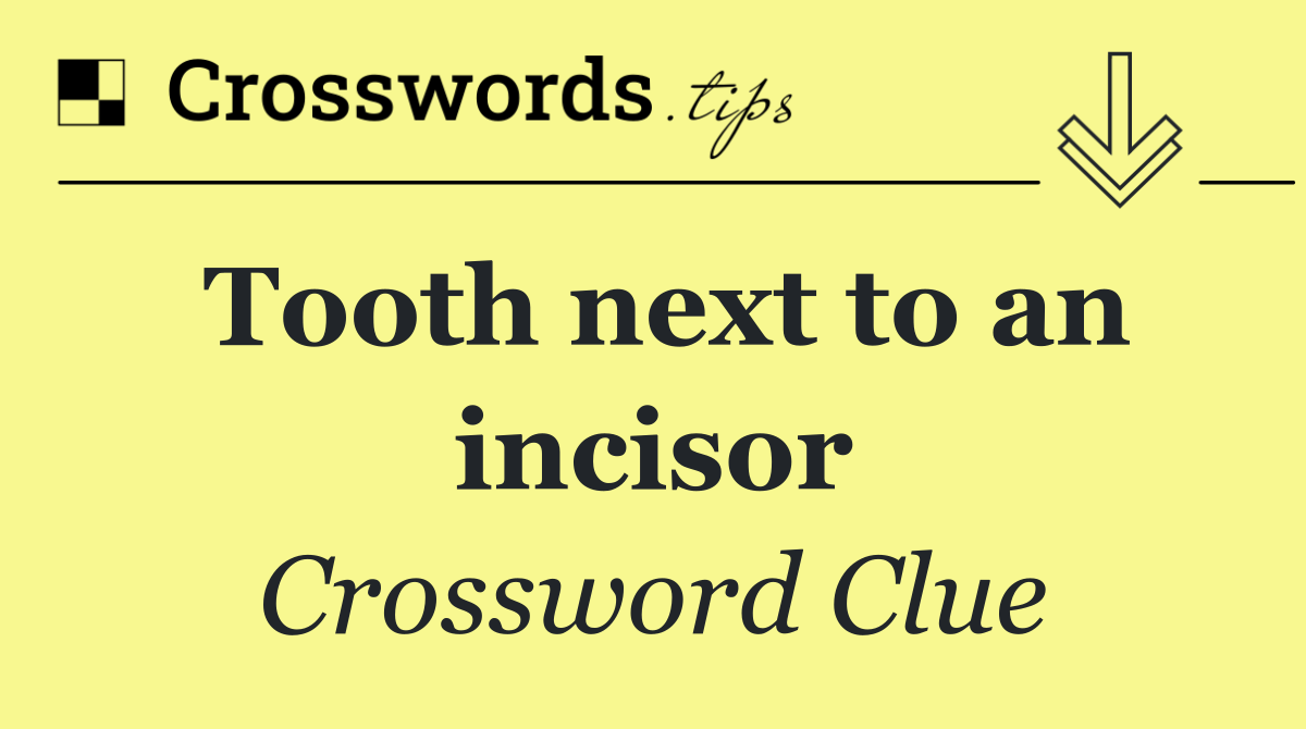 Tooth next to an incisor