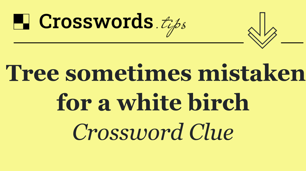 Tree sometimes mistaken for a white birch