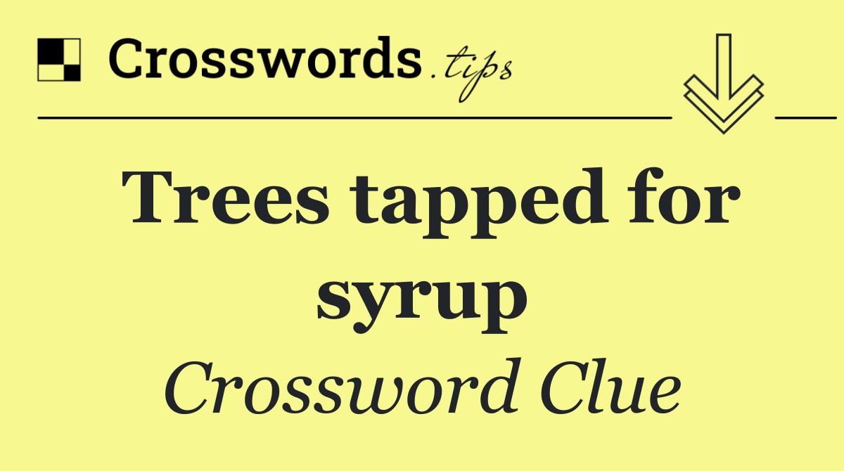 Trees tapped for syrup