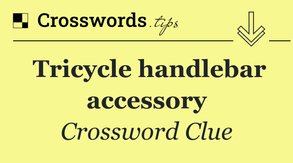 Tricycle handlebar accessory