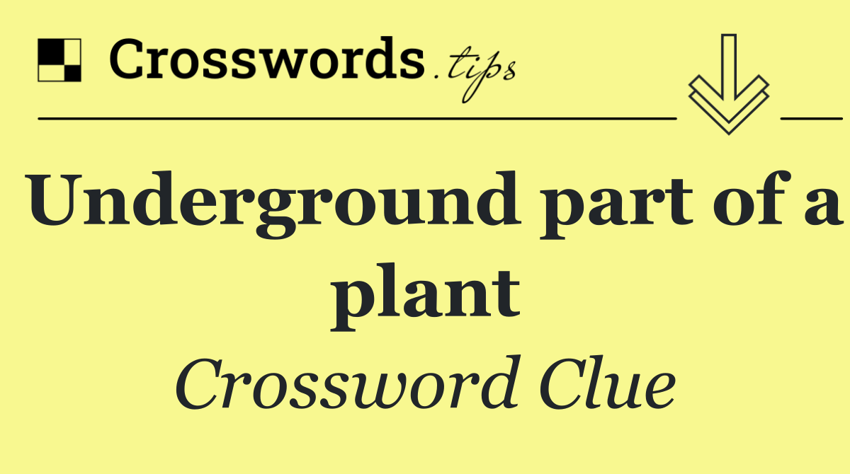Underground part of a plant