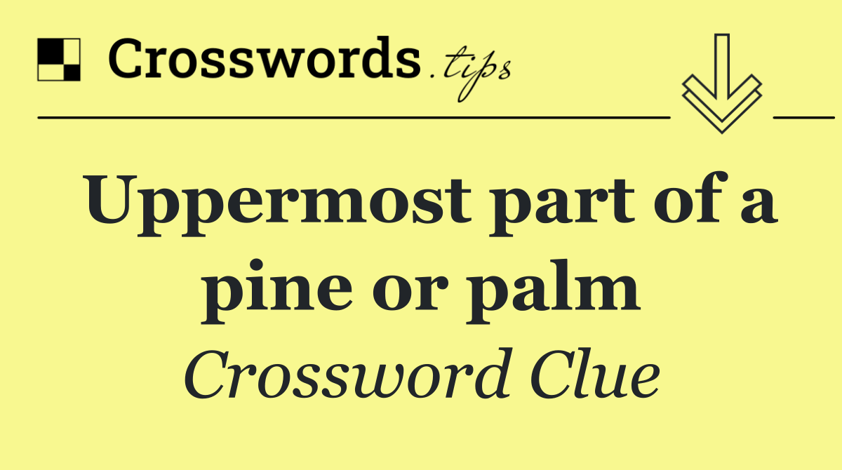 Uppermost part of a pine or palm