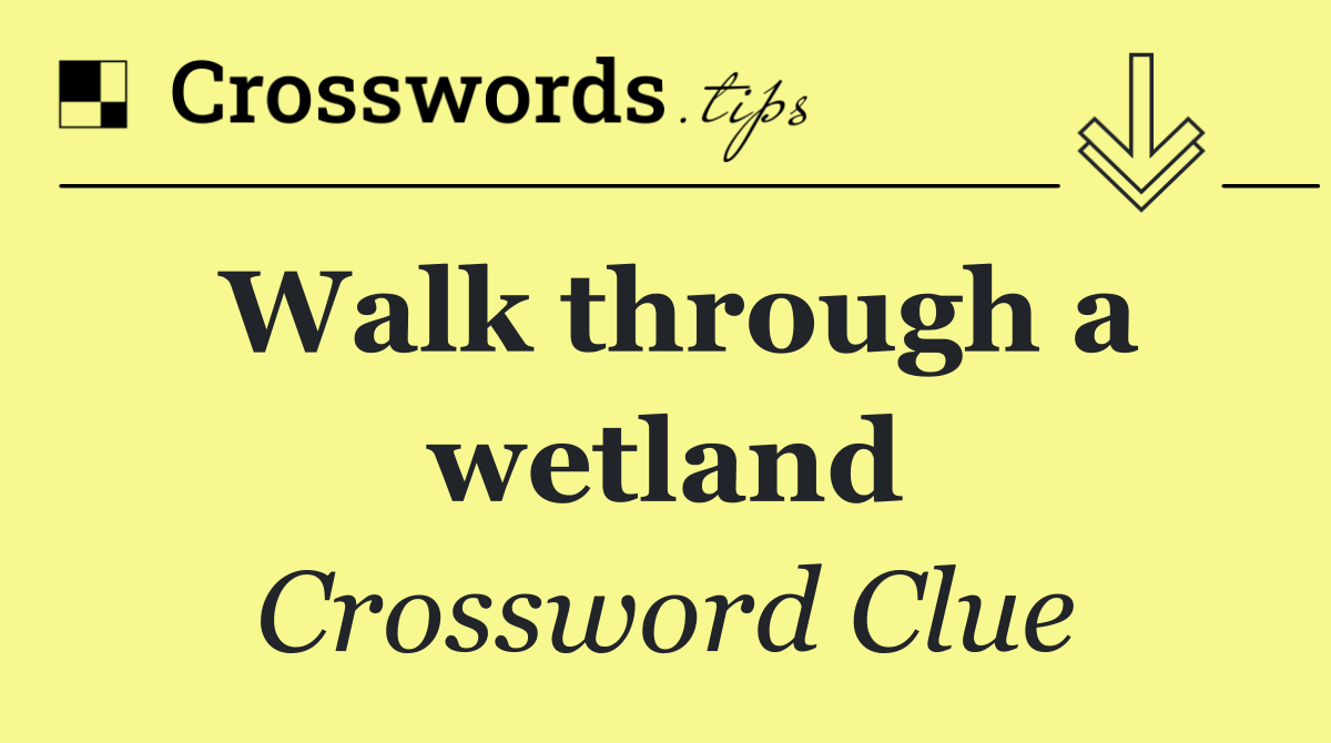 Walk through a wetland