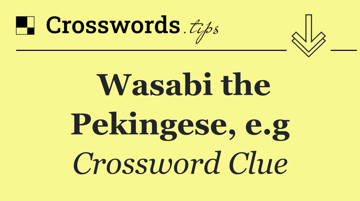 Wasabi the Pekingese, e.g
