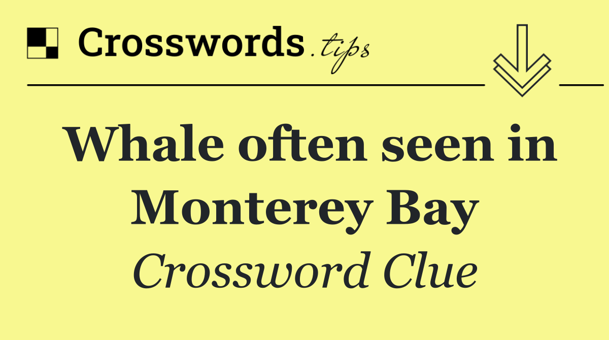 Whale often seen in Monterey Bay