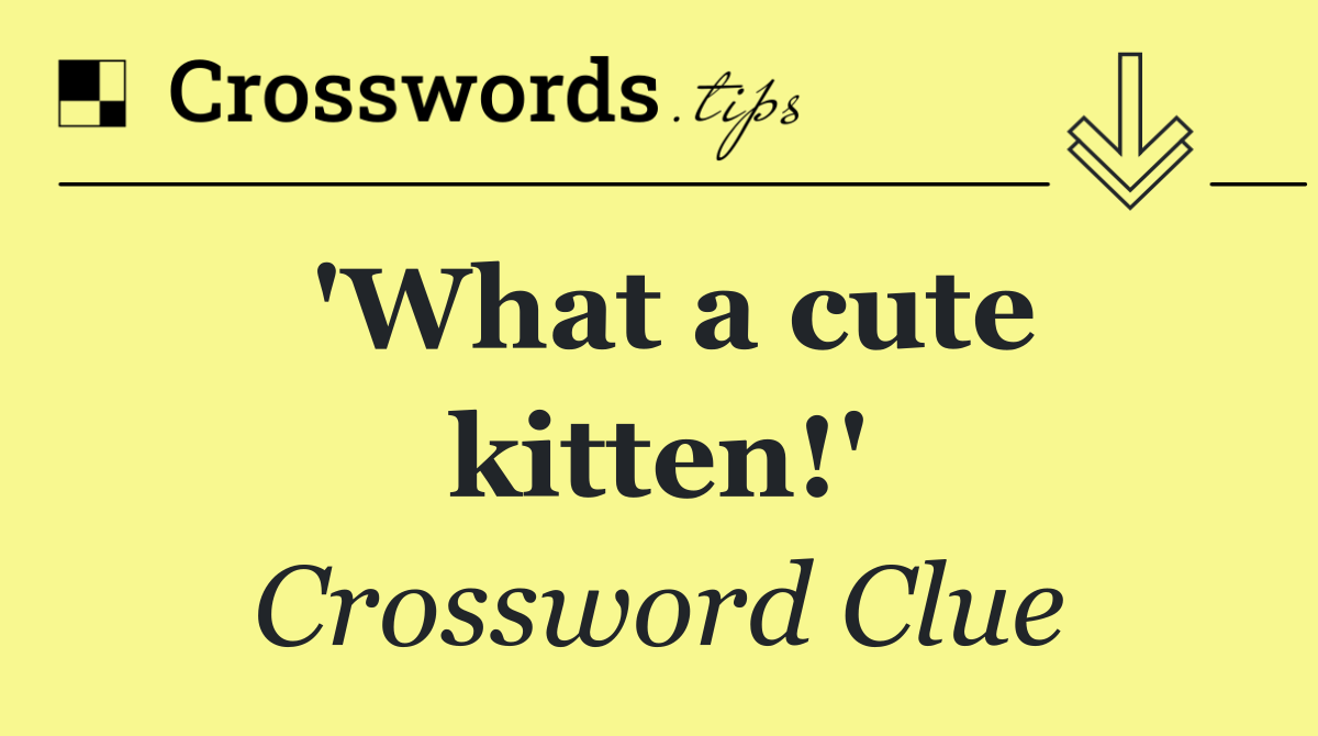 'What a cute kitten!'