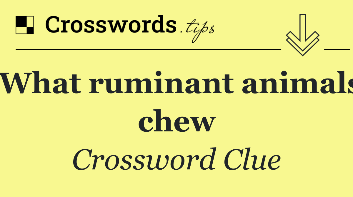 What ruminant animals chew
