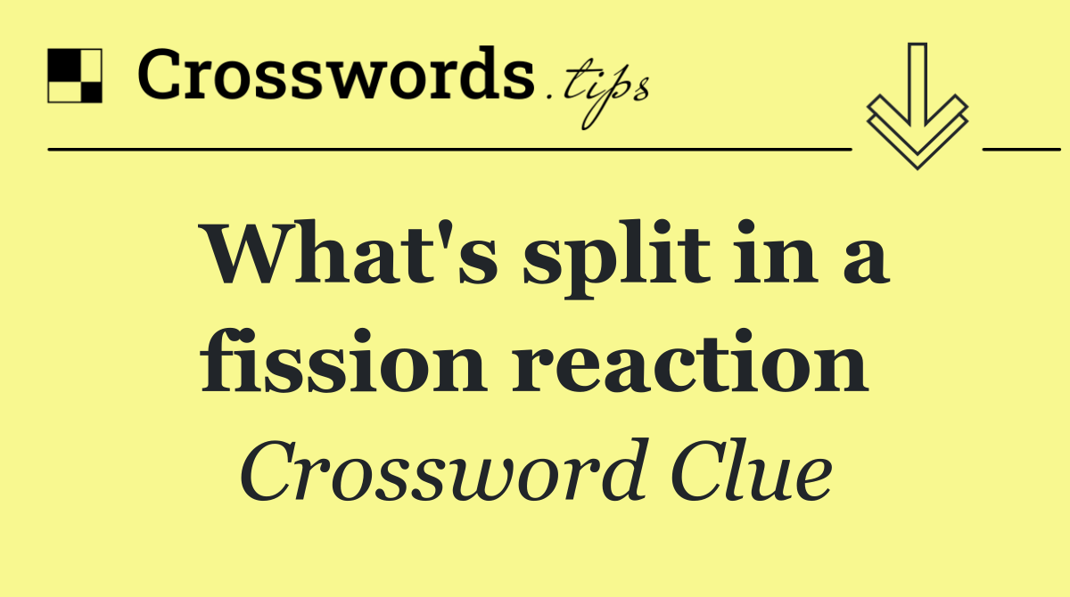 What's split in a fission reaction