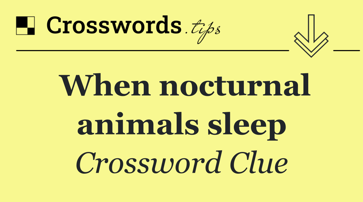 When nocturnal animals sleep