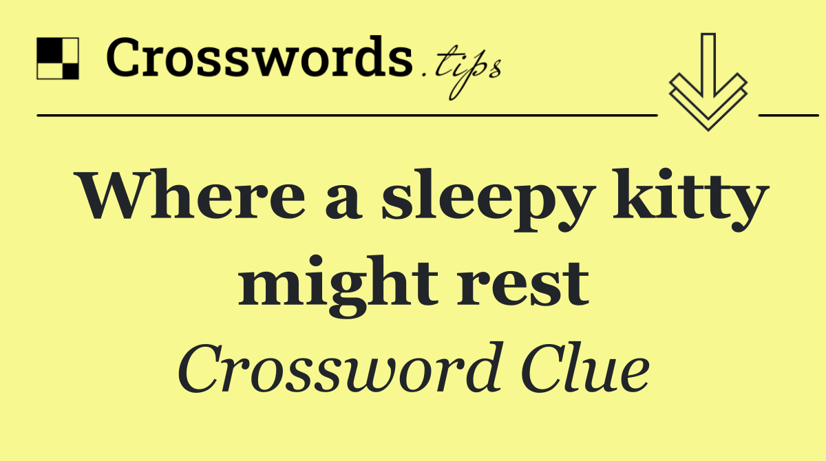 Where a sleepy kitty might rest