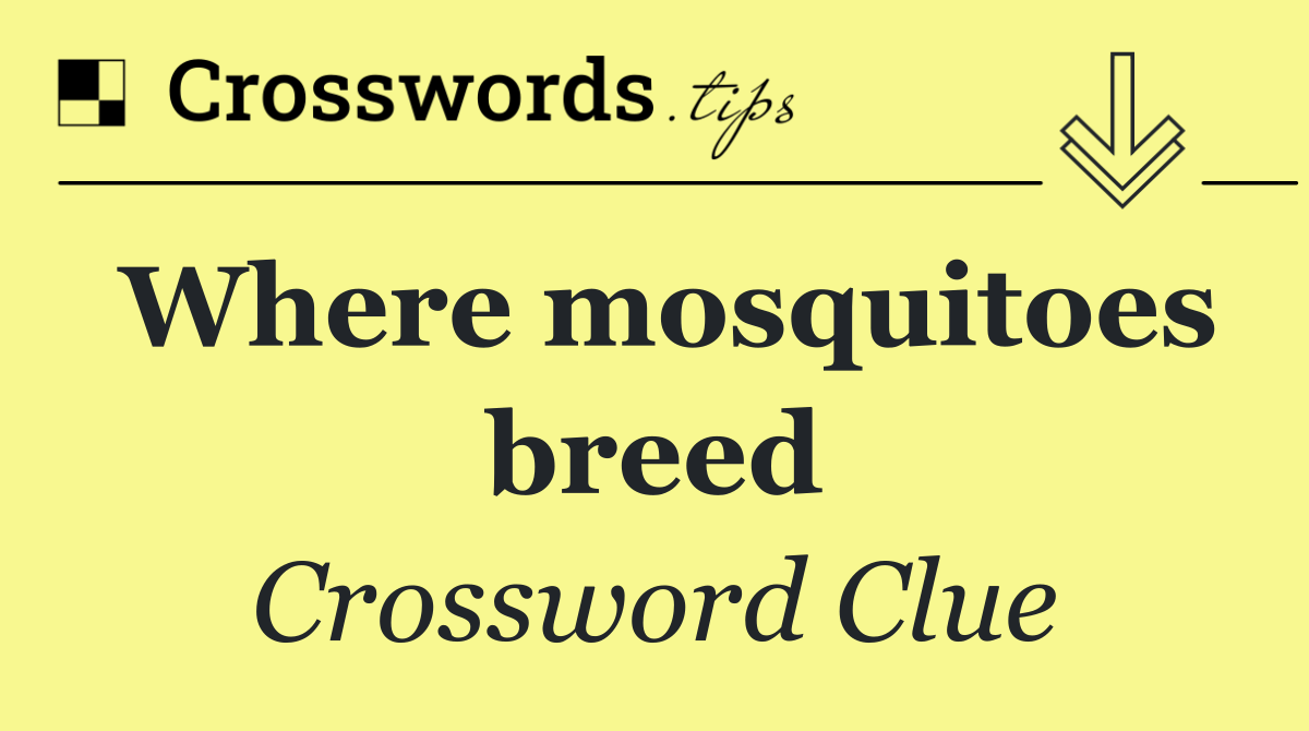 Where mosquitoes breed