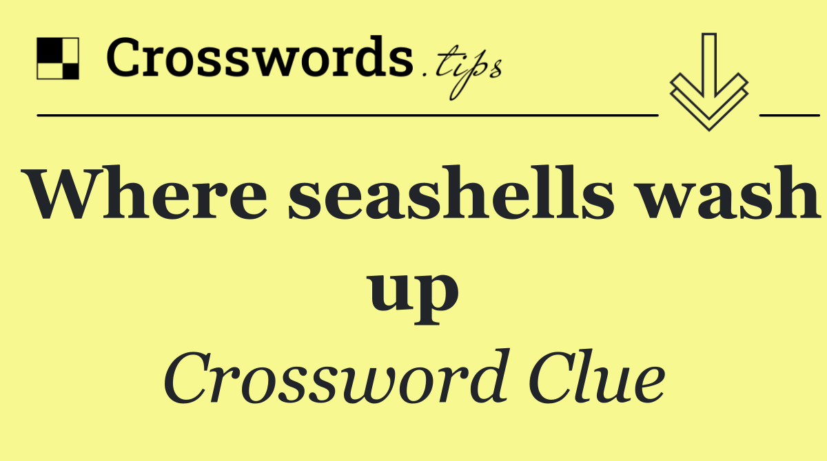 Where seashells wash up