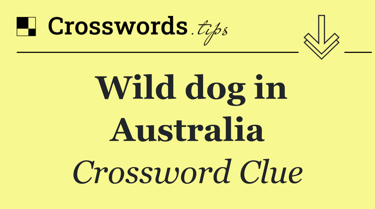 Wild dog in Australia