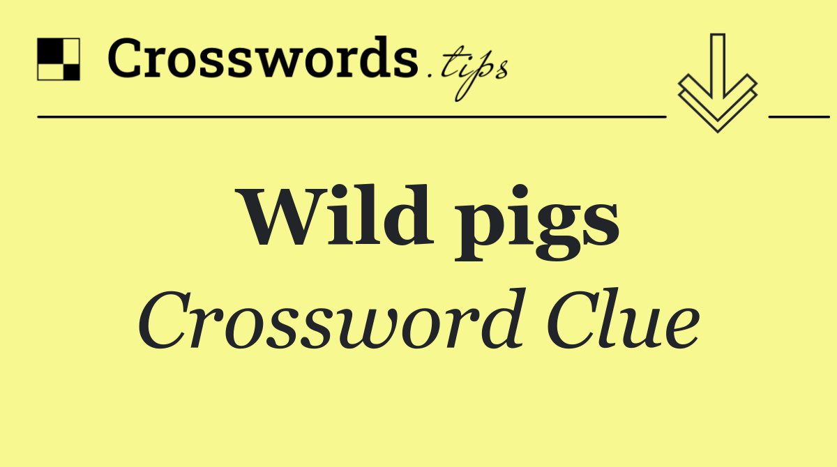 Wild pigs