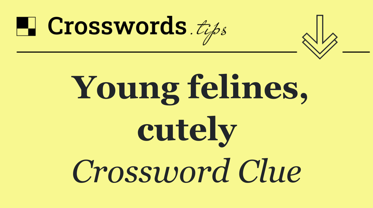 Young felines, cutely