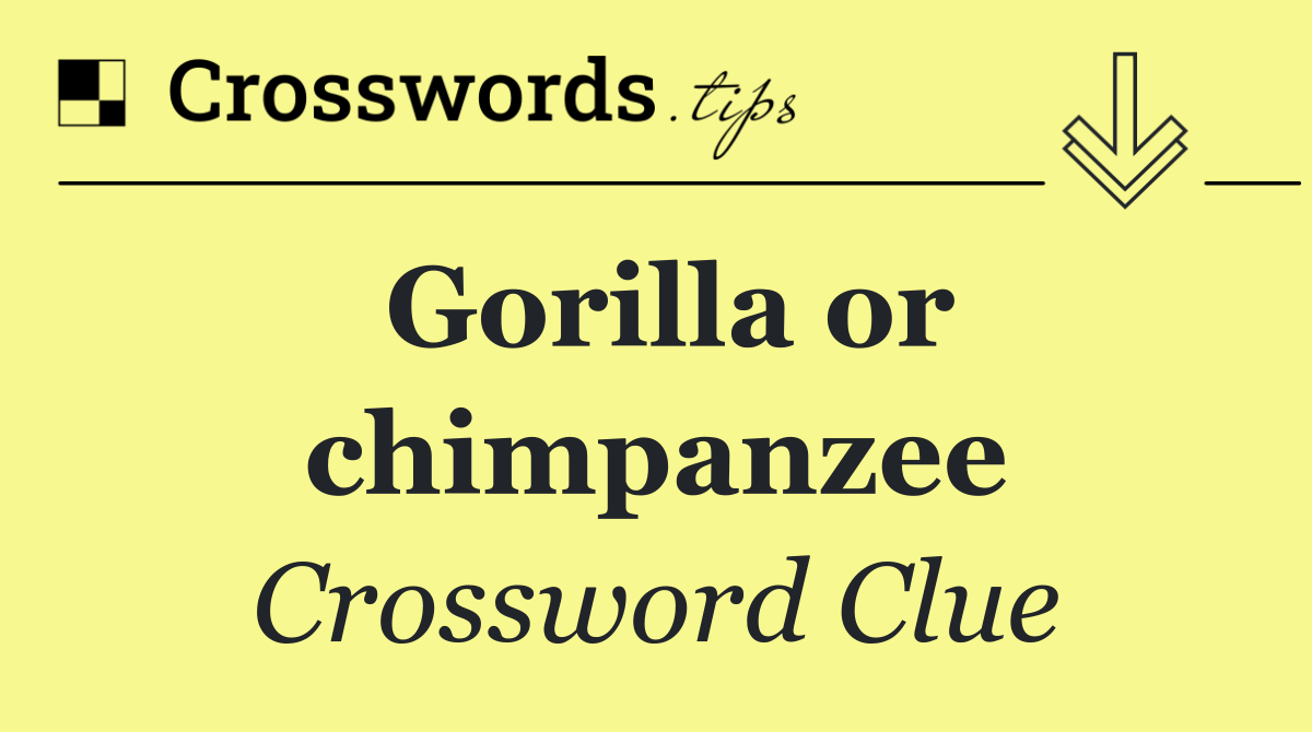 Gorilla or chimpanzee