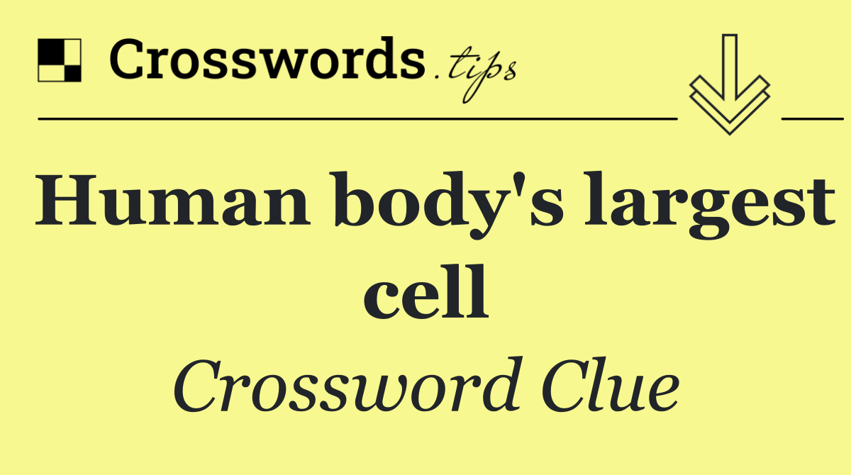 Human body's largest cell